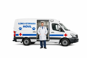 CLINICA MOVIL